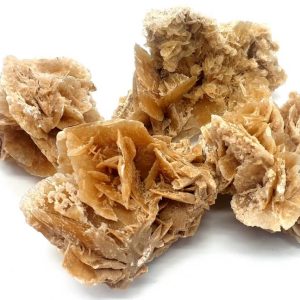 Drusas Rosas del Desierto 'A'