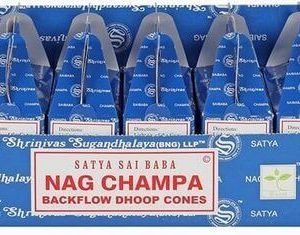 Backflow Cônes Satya Nag Champa