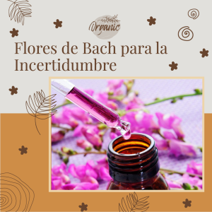 Flores de Bach para la Incertidumbre - Cerato