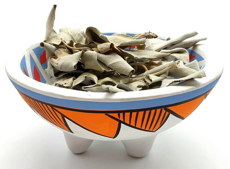 Cuenco Cerámica Fumigación Tribal